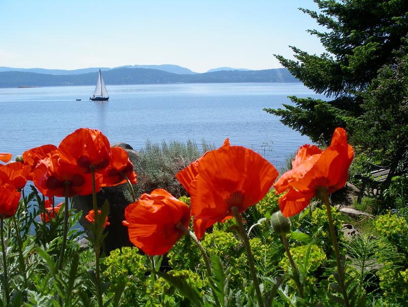 Serenity By The Sea Retreats Montague Harbour Екстериор снимка
